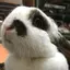 わちのプロフィール画像
