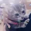 ぁゅのプロフィール画像