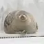 ぽむのプロフィール画像