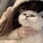 Mayuのプロフィール画像
