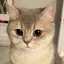 nのプロフィール画像