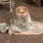 せせのプロフィール画像