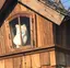 きゃりえのプロフィール画像