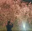 さえのきのプロフィール画像