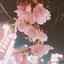 kanaのプロフィール画像