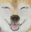ひまわりのプロフィール画像