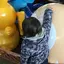 香澄のプロフィール画像