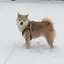 まきのプロフィール画像