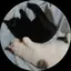 真琴のプロフィール画像