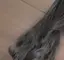 あちゃんのプロフィール画像