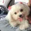 **ゆうかのプロフィール画像