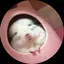 みすずのプロフィール画像