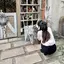あのプロフィール画像