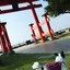 ななのプロフィール画像