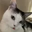 もんえむのプロフィール画像