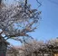 みーのプロフィール画像