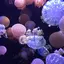 Rのプロフィール画像