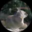 ゆーかのプロフィール画像