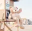riのプロフィール画像