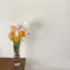 ymkのプロフィール画像