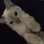 HRKのプロフィール画像