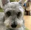 たいたいのプロフィール画像