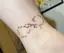 minaeのプロフィール画像