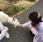 Harunaのプロフィール画像