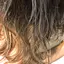 nzsのプロフィール画像