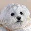 yuccoのプロフィール画像
