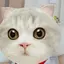 ともぺっこのプロフィール画像