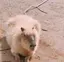 みっけのプロフィール画像