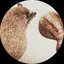 sachiのプロフィール画像