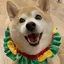 らくらくのプロフィール画像