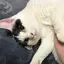 rioのプロフィール画像