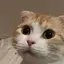 みさきのプロフィール画像