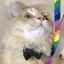 アユカのプロフィール画像