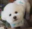 しーちゃんのプロフィール画像