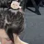 しおんのプロフィール画像