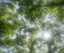 ⭐︎のプロフィール画像