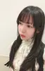 アポロのプロフィール画像