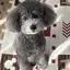 優衣のプロフィール画像