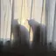 nagiのプロフィール画像
