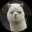 あのプロフィール画像