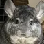 ゆいのプロフィール画像