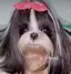 あやのプロフィール画像