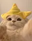 もものプロフィール画像