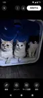まむし★のプロフィール画像