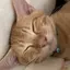 萌のプロフィール画像