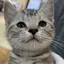 ナのプロフィール画像